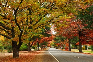 great alpine road