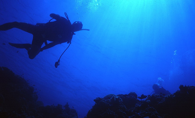 Philippines diving